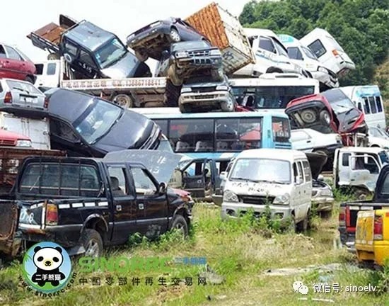 1621331819557194.jpg 640.webp.jpg